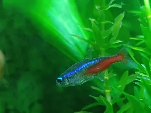 Fotka k příspěvku