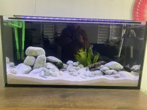 Fotka k příspěvku