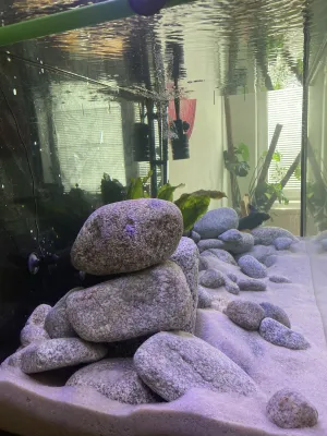 Fotka k příspěvku