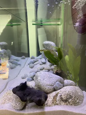 Fotka k příspěvku