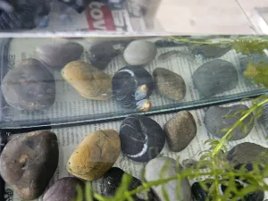 Fotka k příspěvku