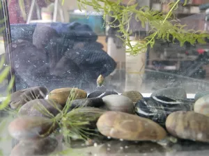 Fotka k příspěvku