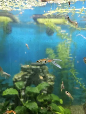 Fotka k příspěvku