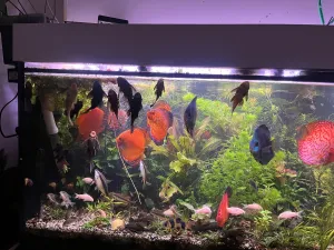 Fotka k příspěvku