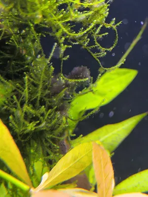 Fotka k příspěvku