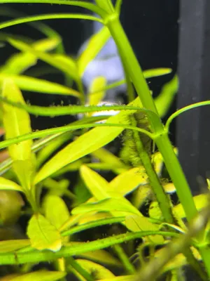 Fotka k příspěvku