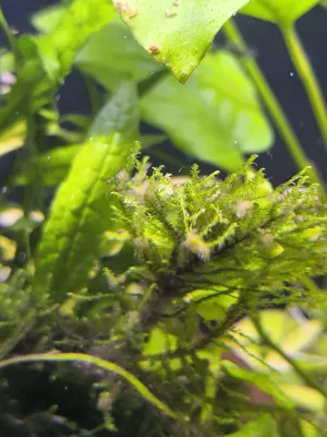 Fotka k příspěvku