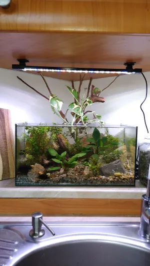 Fotka k příspěvku