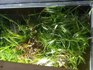 Fotka k příspěvku