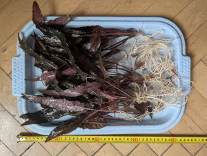 Fotka k příspěvku