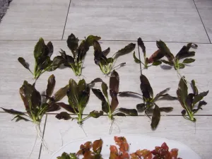 Fotka k příspěvku