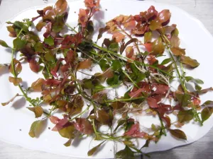 Fotka k příspěvku