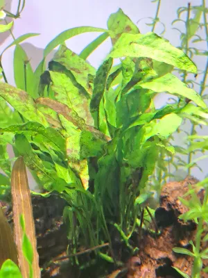 Fotka k příspěvku