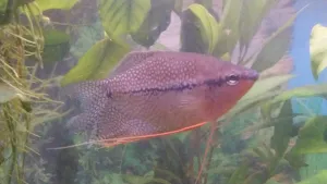 Fotka k příspěvku