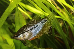 Fotka k příspěvku