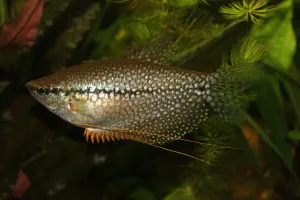 Fotka k příspěvku