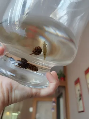 Fotka k příspěvku