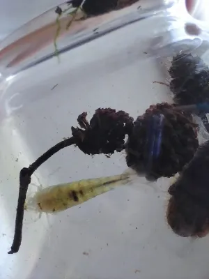 Fotka k příspěvku