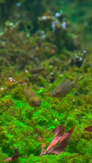 Fotka k příspěvku