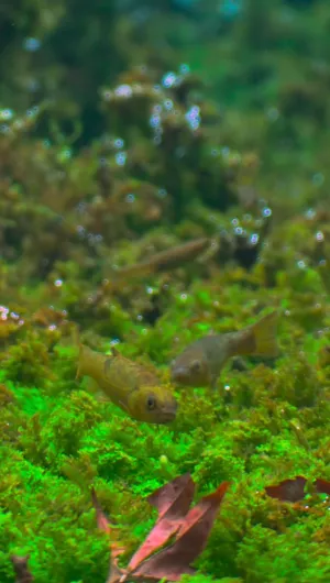 Fotka k příspěvku