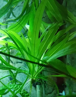 Fotka k příspěvku