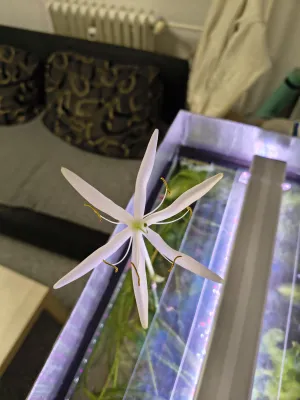 Fotka k příspěvku