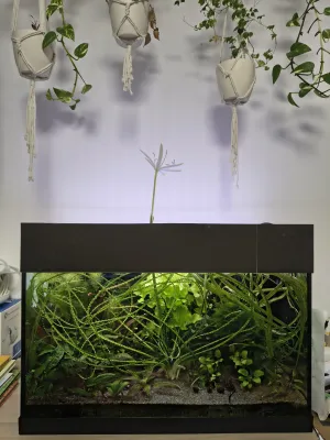 Fotka k příspěvku