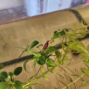 Fotka k příspěvku