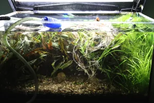 Fotka k příspěvku