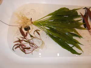 Fotka k příspěvku