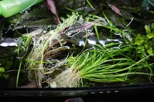 Fotka k příspěvku