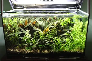 Fotka k příspěvku