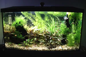 Fotka k příspěvku