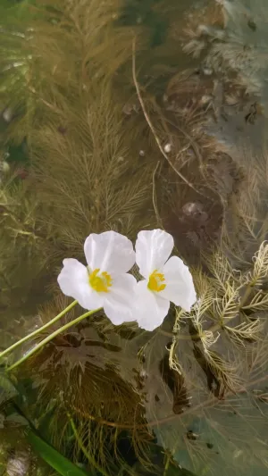 Fotka k příspěvku