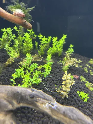 Fotka k příspěvku