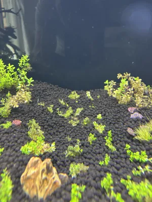 Fotka k příspěvku