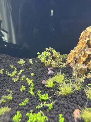 Fotka k příspěvku