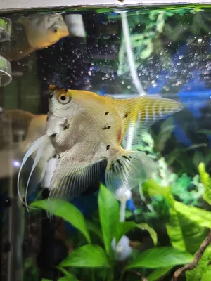 Fotka k příspěvku