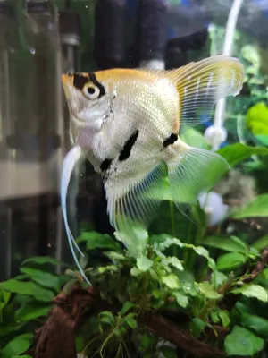 Fotka k příspěvku