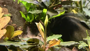 Fotka k příspěvku