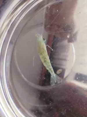 Fotka k příspěvku