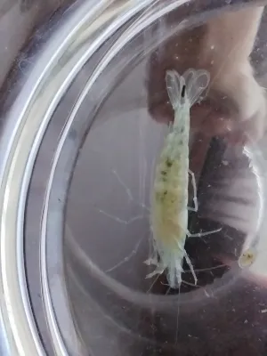 Fotka k příspěvku