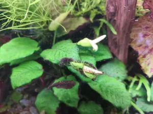 Fotka k příspěvku