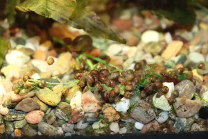 Fotka k příspěvku