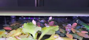 Fotka k příspěvku