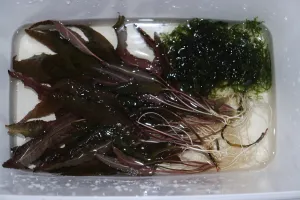 Fotka k příspěvku