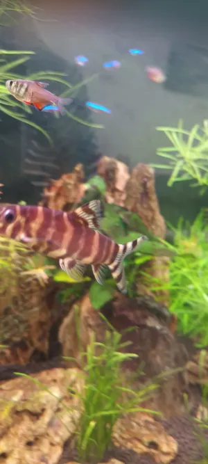 Fotka k příspěvku