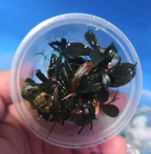 Fotka k příspěvku