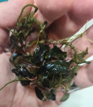 Fotka k příspěvku