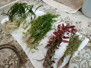 Fotka k příspěvku